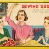 Sewing Susan 21 Needle Set